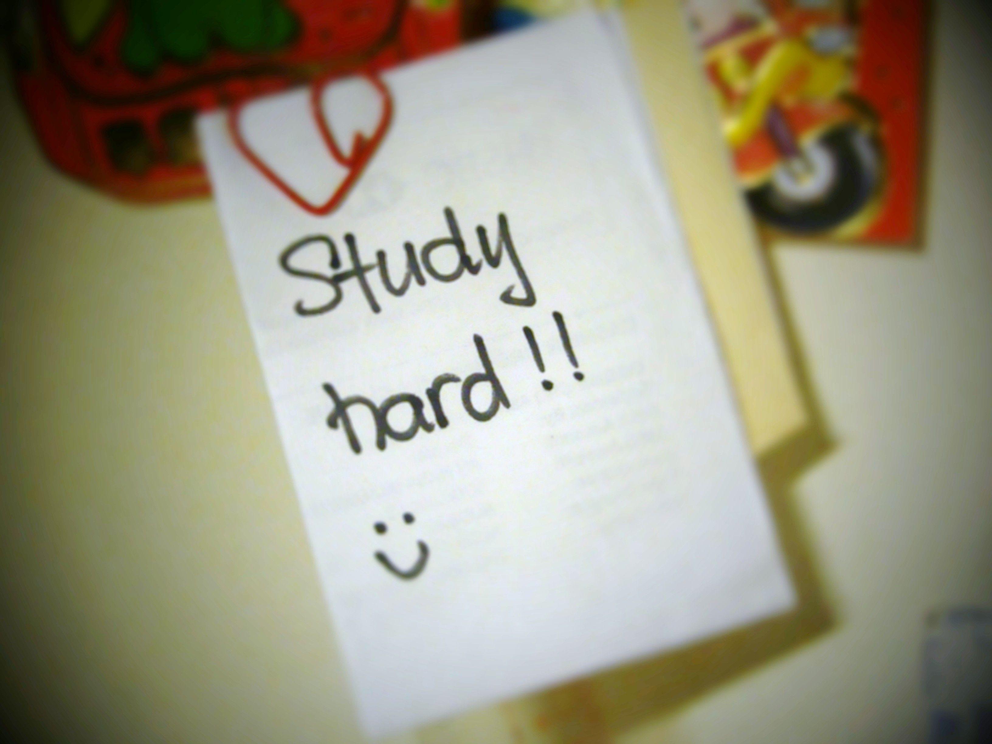 image For > Study Hard Wallpaper