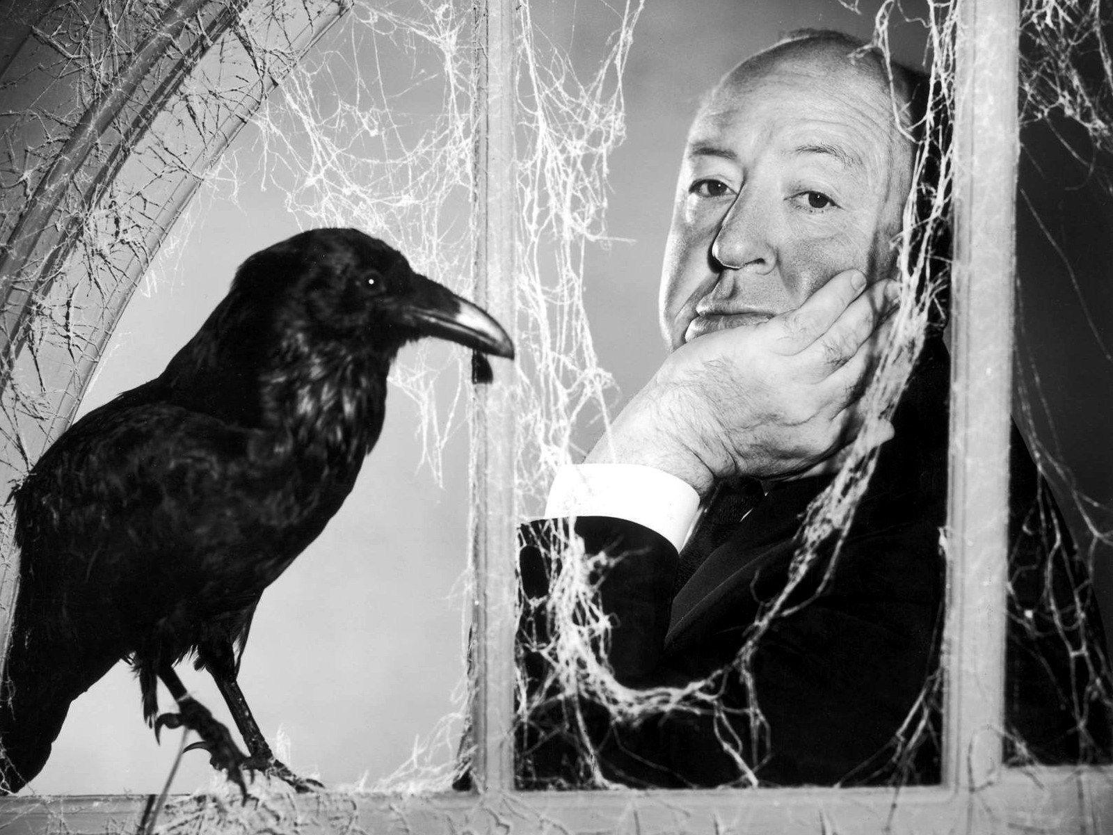 Alfred Hitchcock image Hitchcock HD wallpaper and background photo