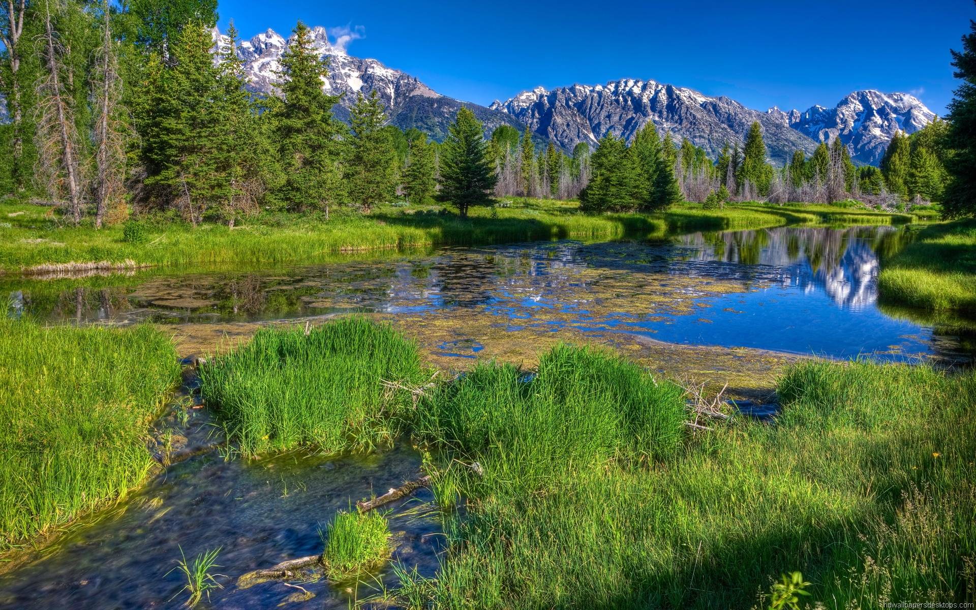 Nature Wallpaper Download For Pc : 22+ New Photo Gallery Download For ...