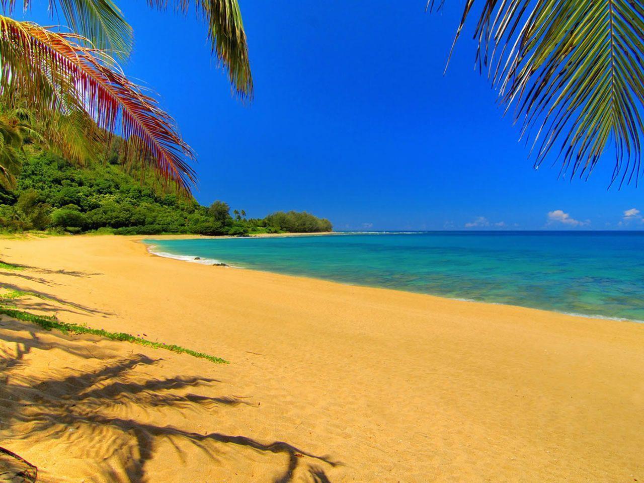 Cute Summer Desktop Wallpaper