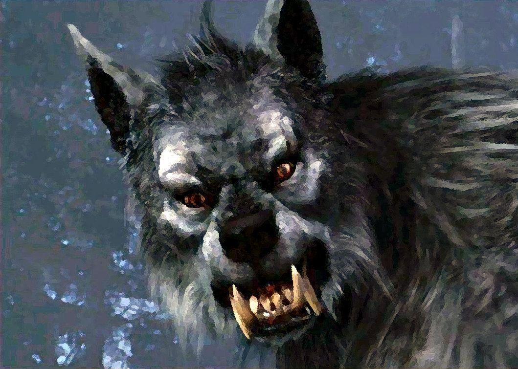 Wallpaper For > Van Helsing Werewolf Wallpaper
