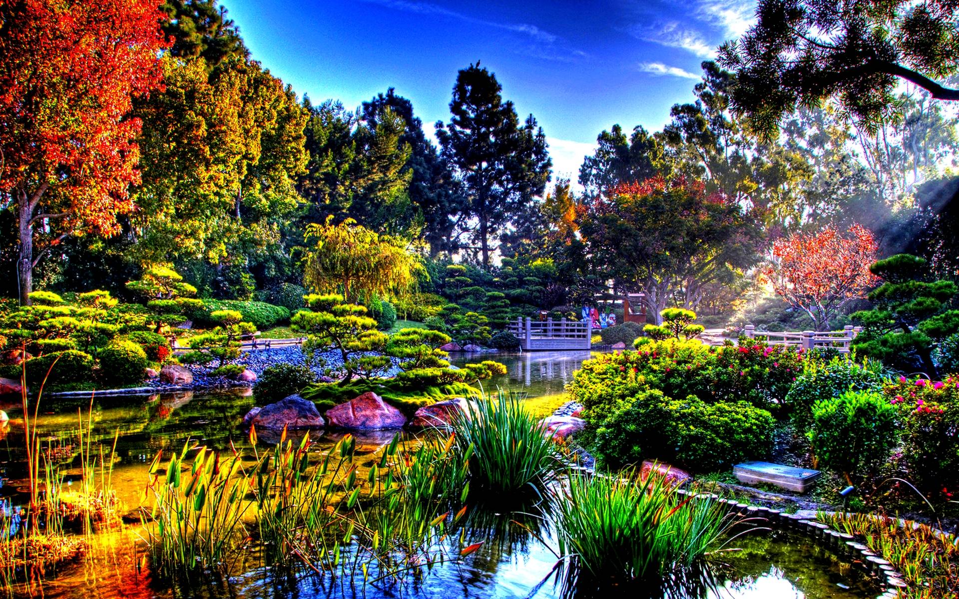 Unduh 43 Iphone Wallpaper Japanese Garden Download Postsid