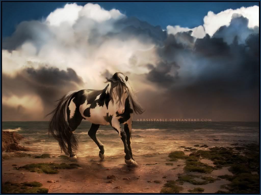Download Free Horse The Wallpaper Full HD Wallpaper 1024x768PX