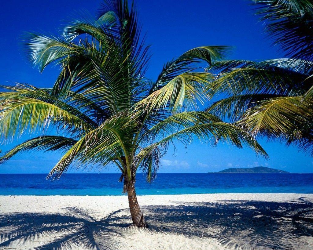 Travel Caribbean Beach Beautiful Wallpaper For Laptop. Free