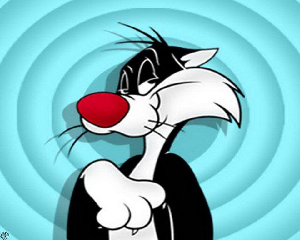 Looney Tunes Sylvester Character Wallpaper