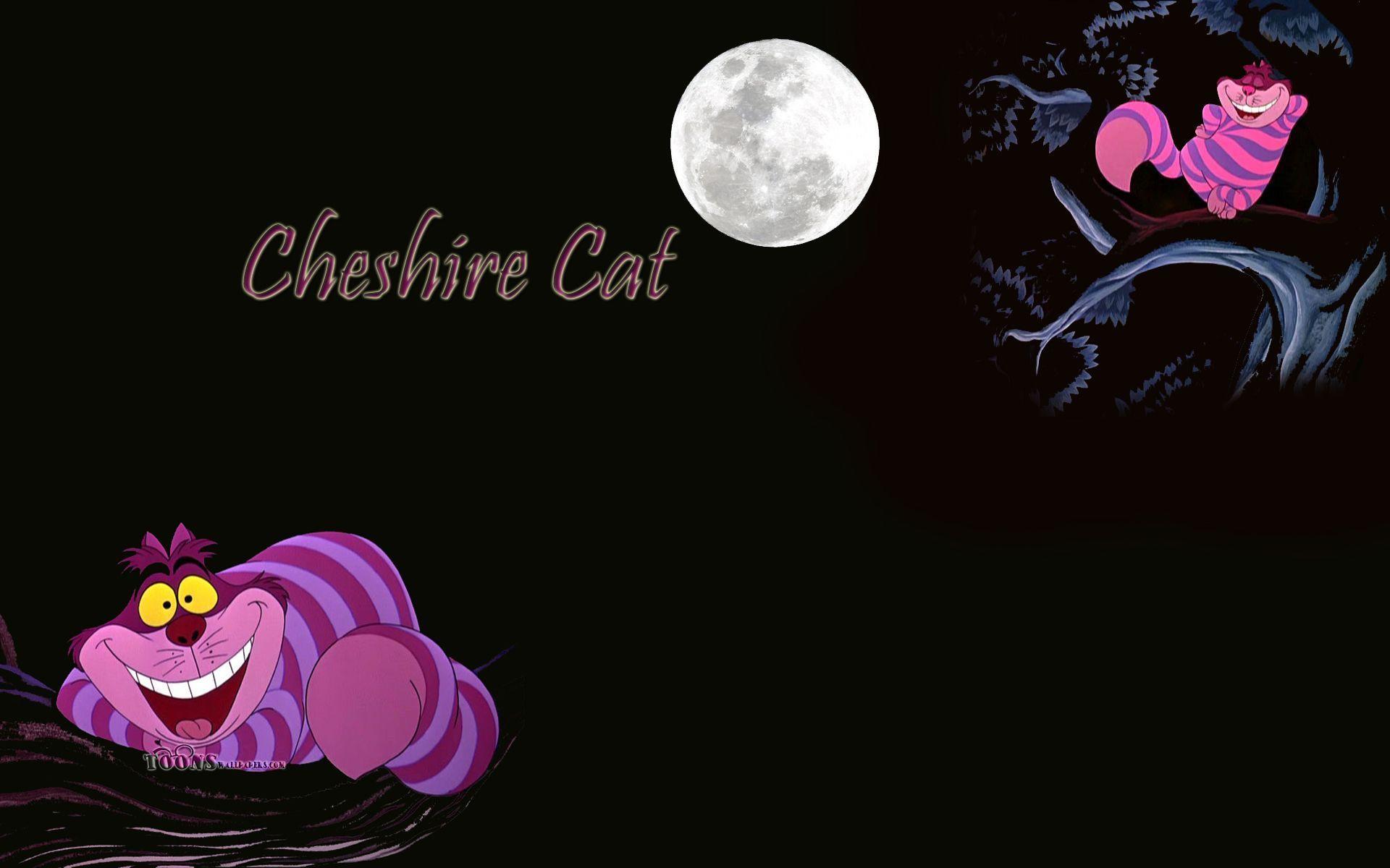 Cheshire Cat Moon Black X Wallpaper Toonswallpaper