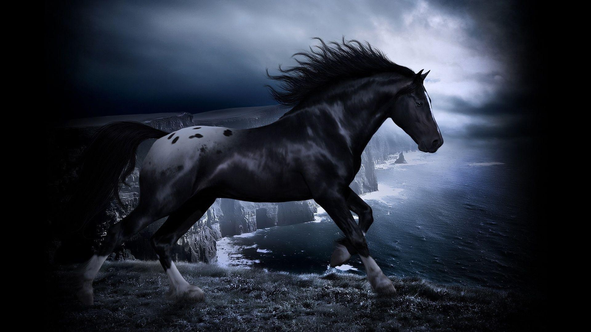 Horse in the dark Wallpaperx1080 resolution wallpaper
