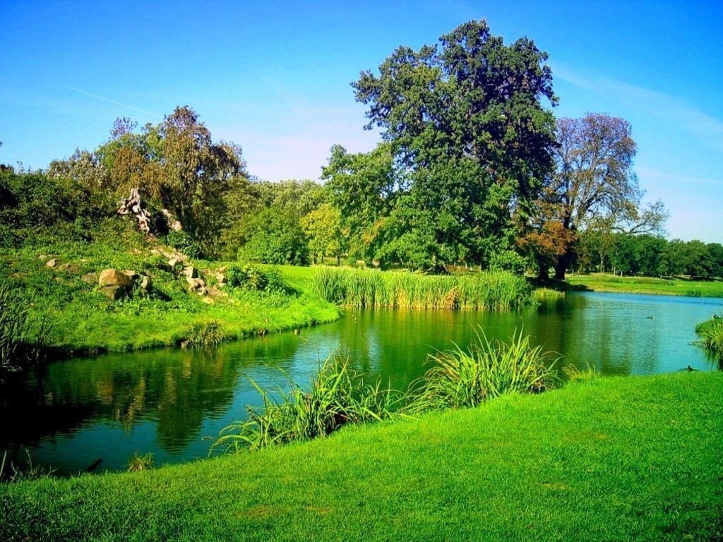 Download Beautiful Green Pcs Wallpaper. Full HD Wallpaper