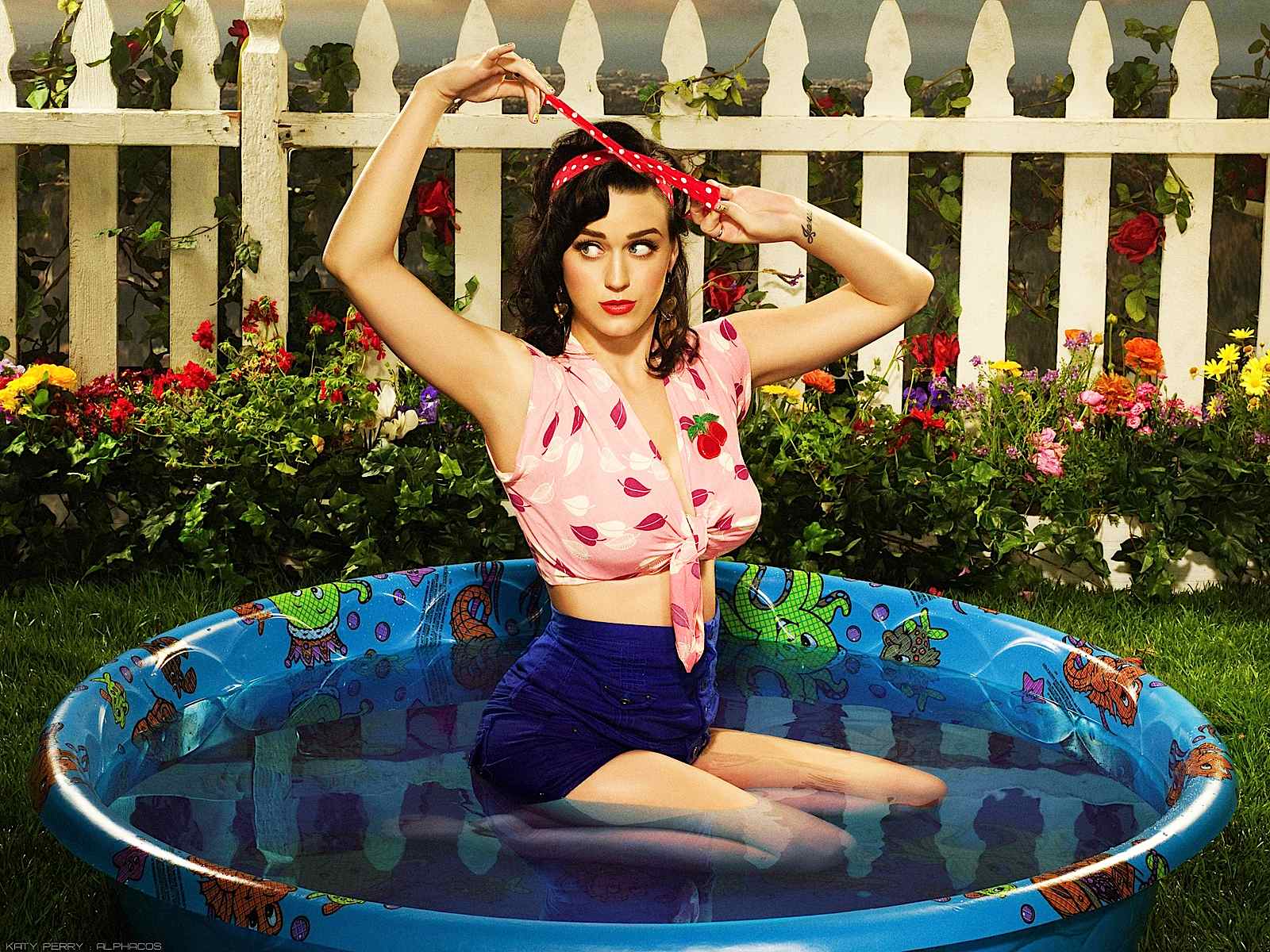 Katy Perry Wallpaper