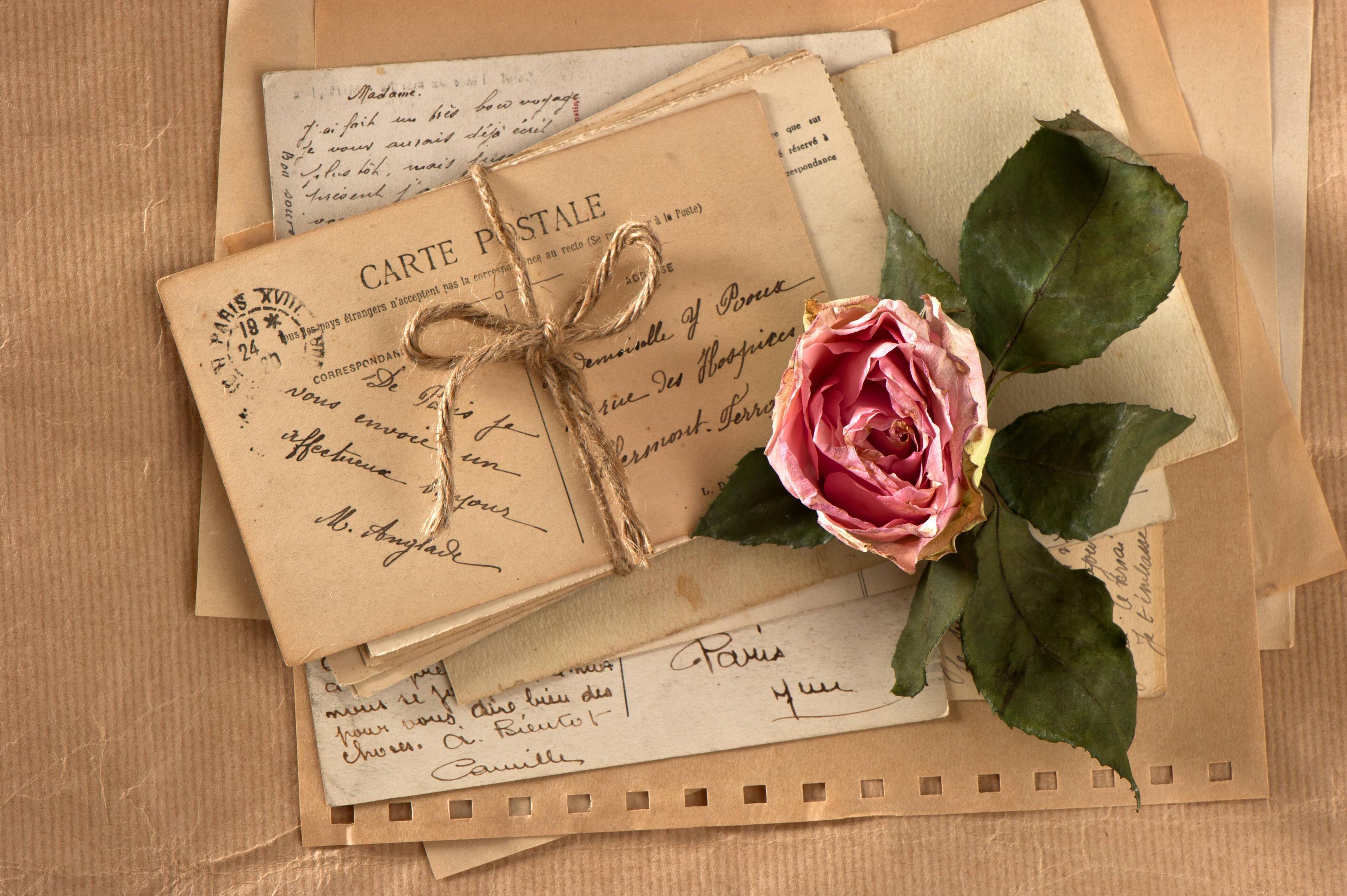 Download wallpaper Vintage, retro, flower, rose free desktop