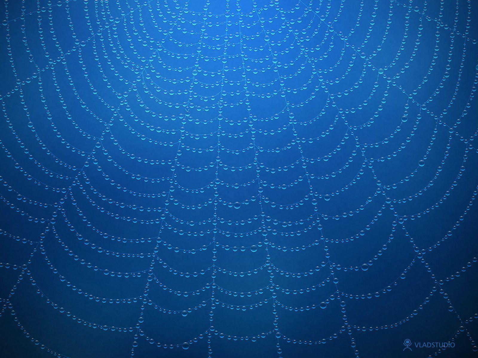 Spiderweb Wallpaper, Spiderweb Waterdrops Blue Pulsar Ecard