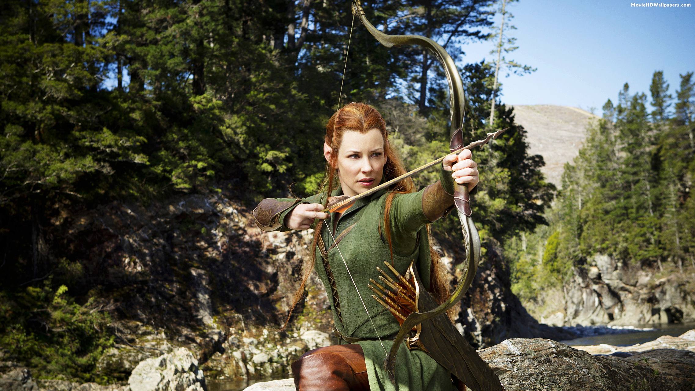 The Hobbit The Desolation of Smaug HD Wallpaper. Movie HD Wallpaper
