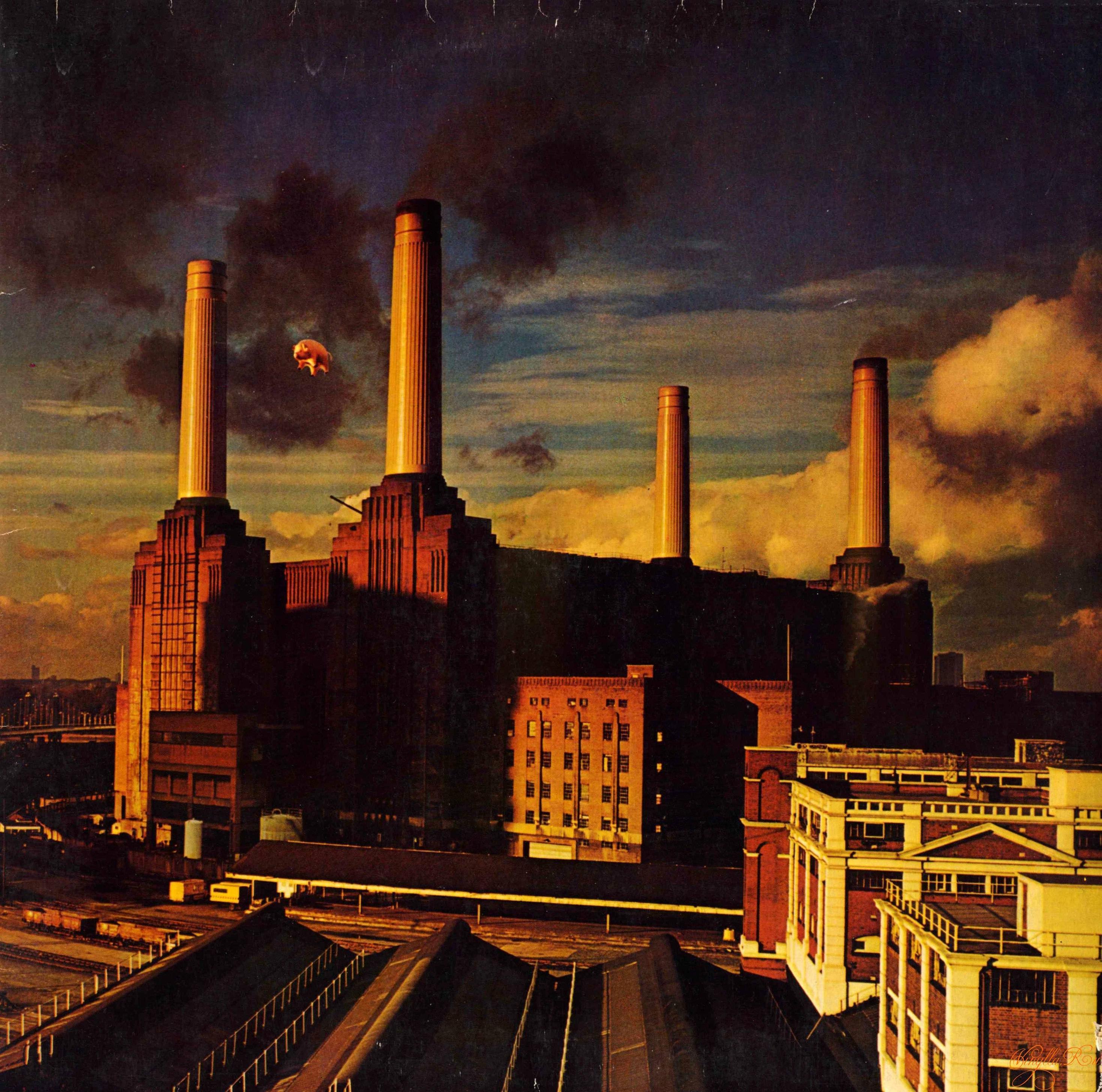 Pink Floyd Animals Wallpapers - Wallpaper Cave