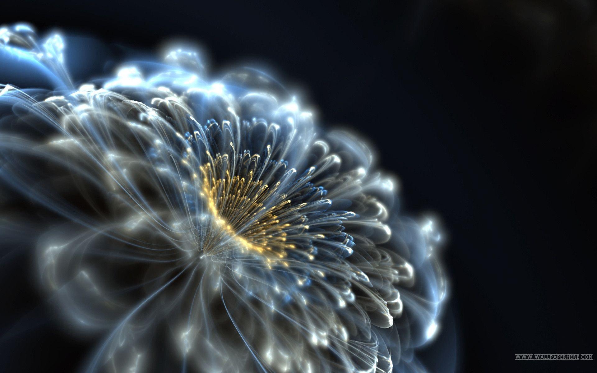 Art: HD 3D Beautiful Flower Wallpapers Screensavers, free cell