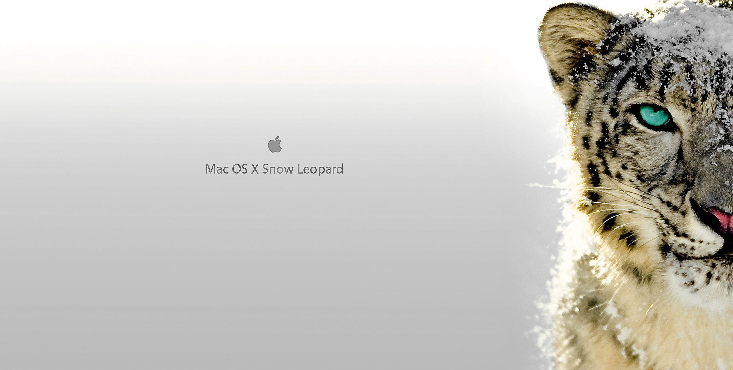 Wallpaper For > Mac Wallpaper Leopard