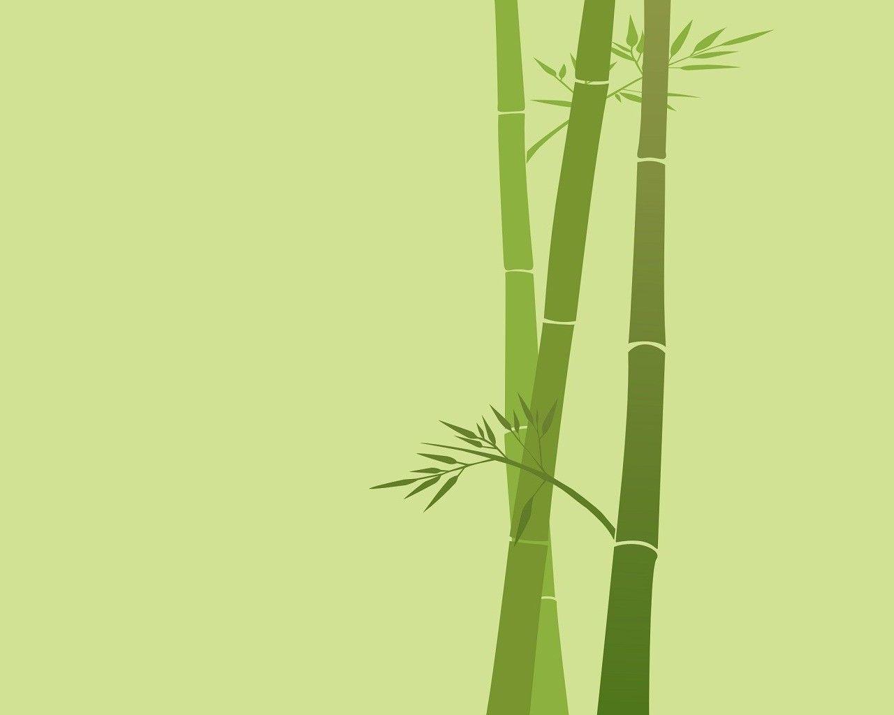 image For > Green Bamboo Leaves
