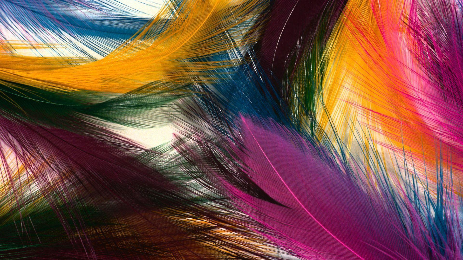 Download Feather Colorful Wallpaper. Full HD Wallpaper