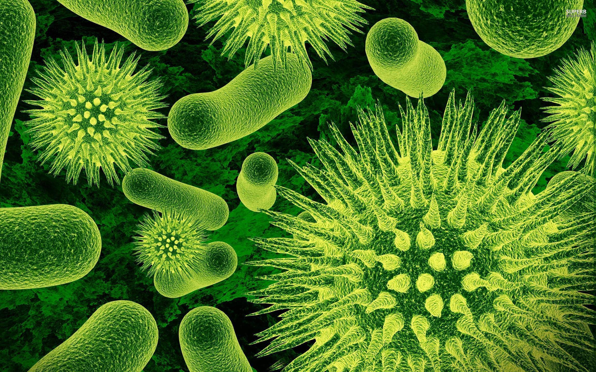 Bacteria wallpaper wallpaper - #