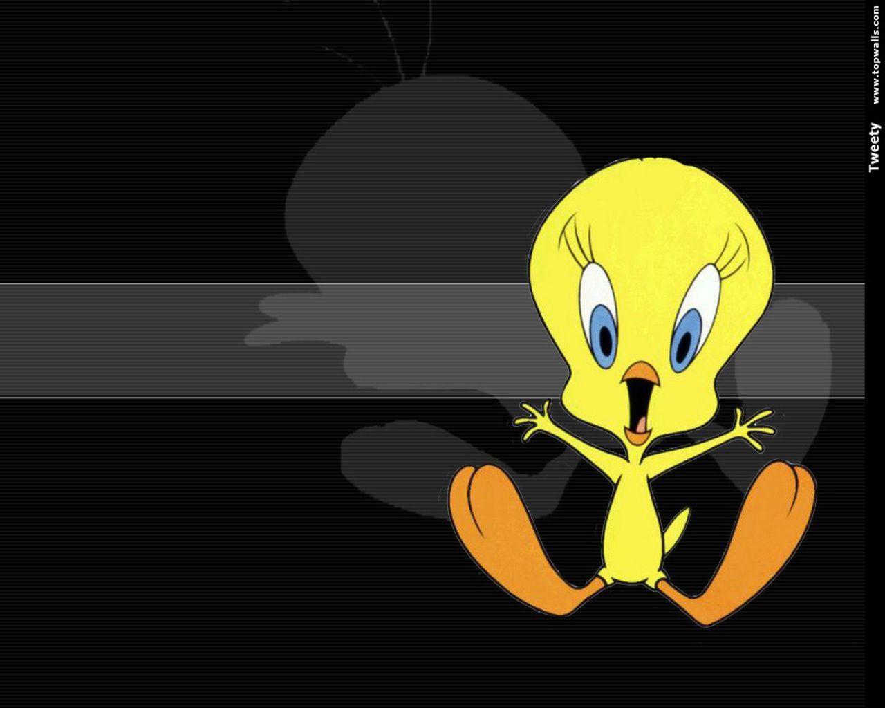 Download the free sylvester and tweety pie wallpaper