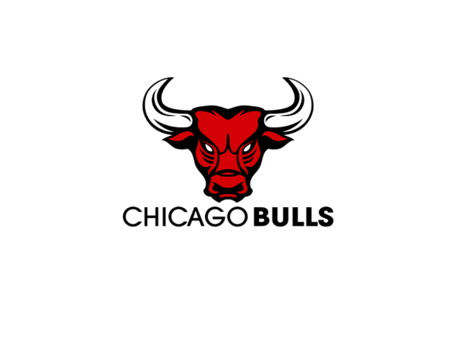 Chicago Bulls Logo Basketball Team 2015 Chicago Bulls Logo