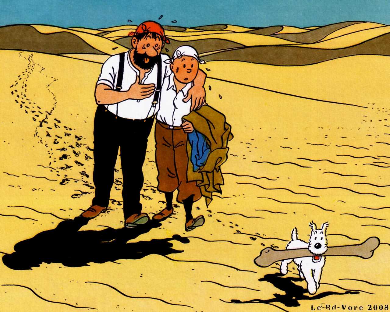 The Image of Desert Footprint Tintin Snowy Captain Haddock