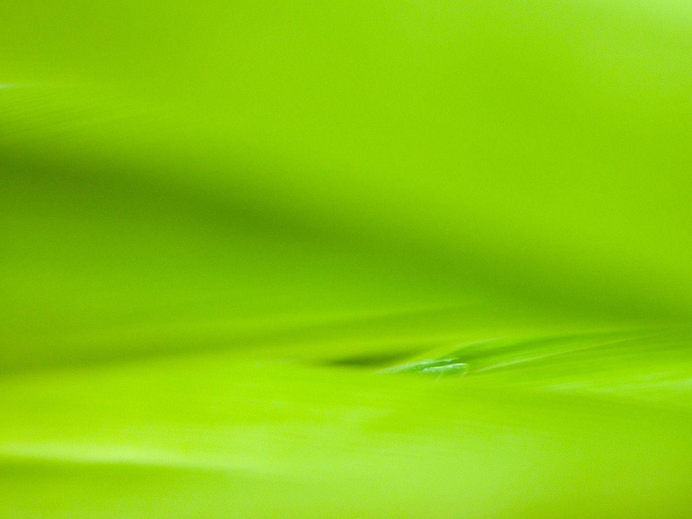 Light Green desktop wallpaper