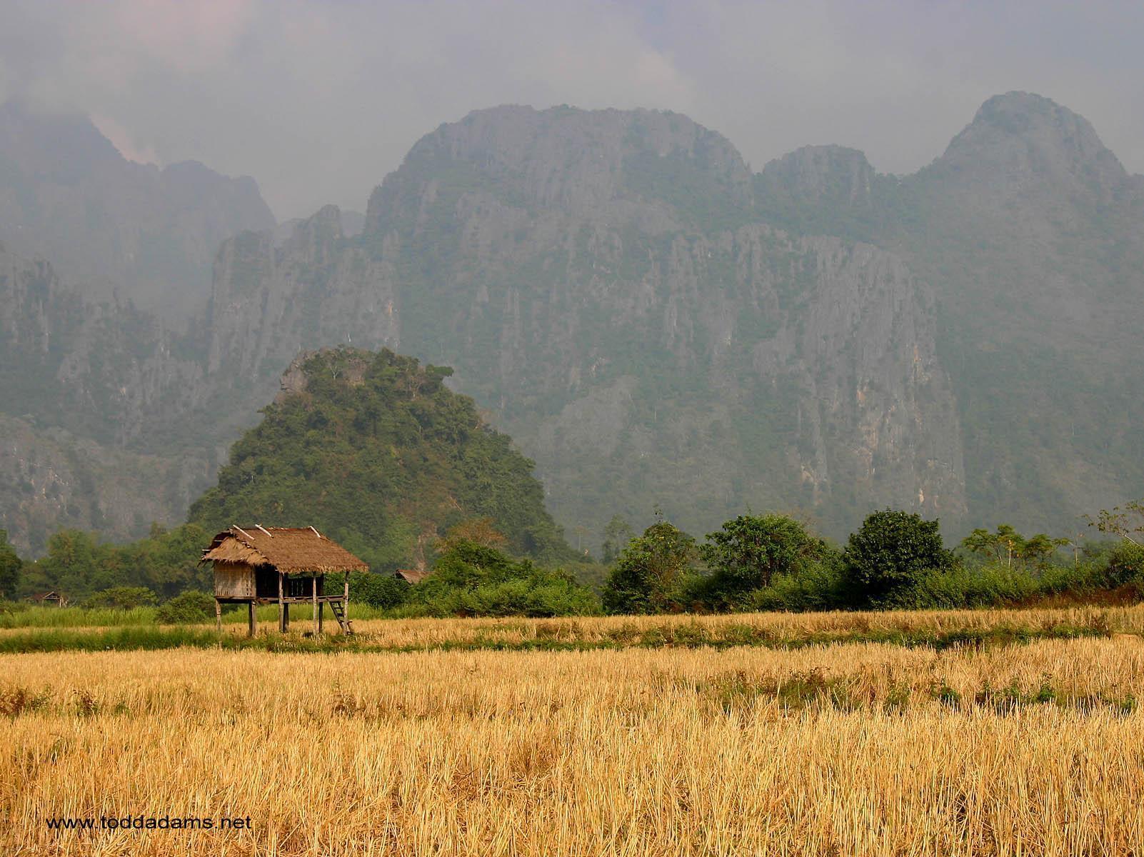 Ricefield Hut, Vang Vieng, Laos Wallpaper HD Wallpaper