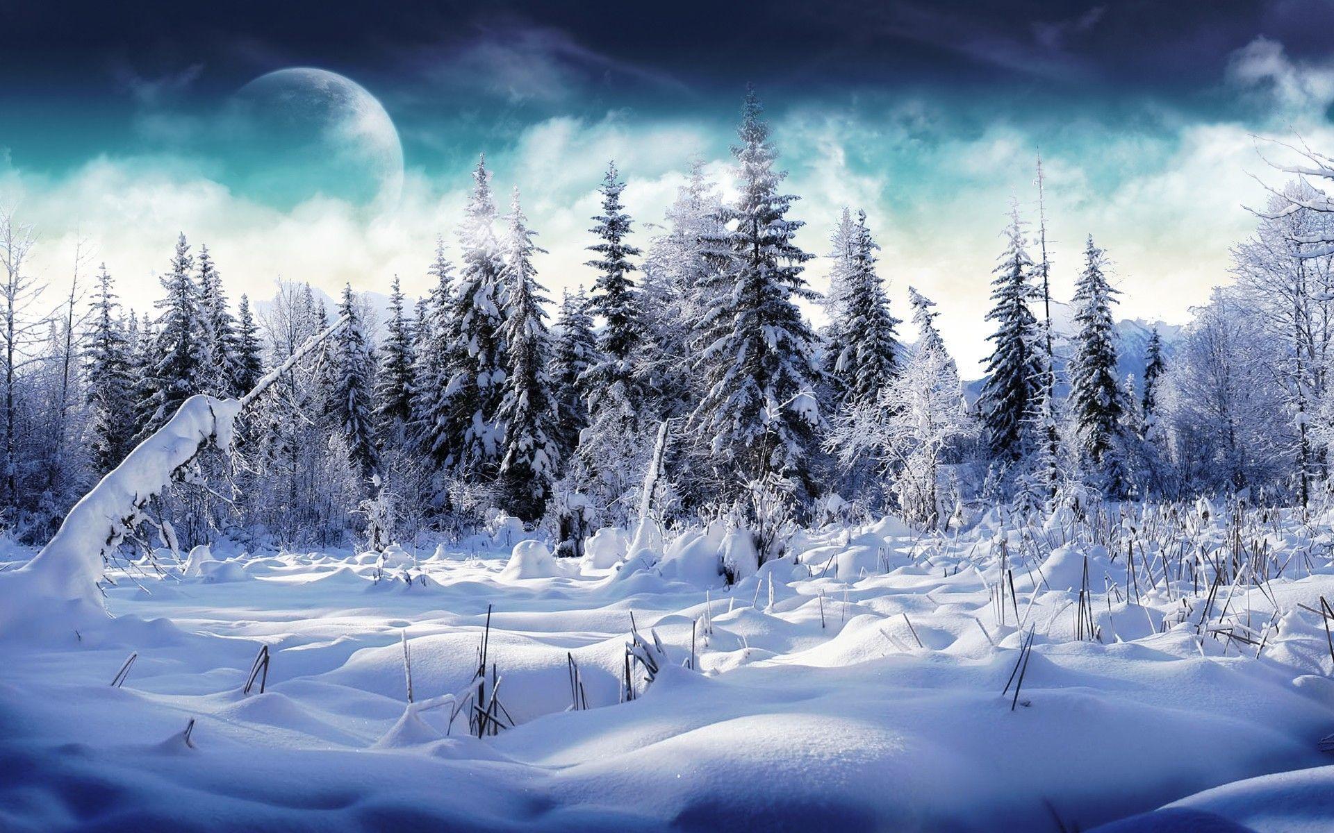 Wallpaper For > Pretty Winter Background For Desktops