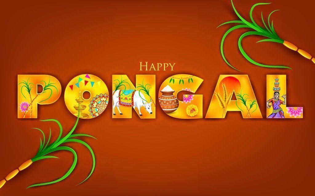 Wallpaper Happy Pongal 2015 on the desktop, laptop, tablet PC