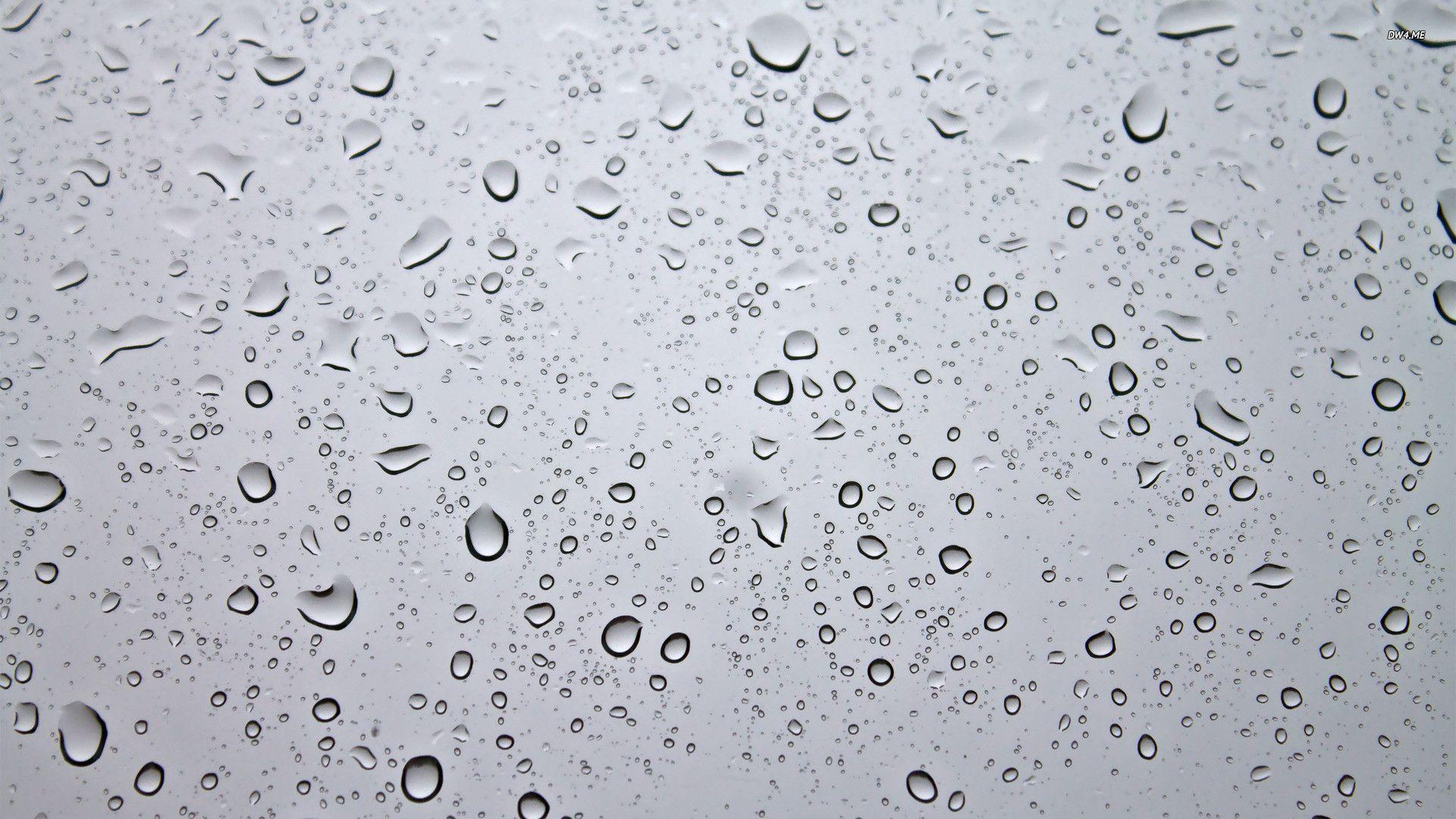 Wallpaper For > Wallpaper Of Water Droplets
