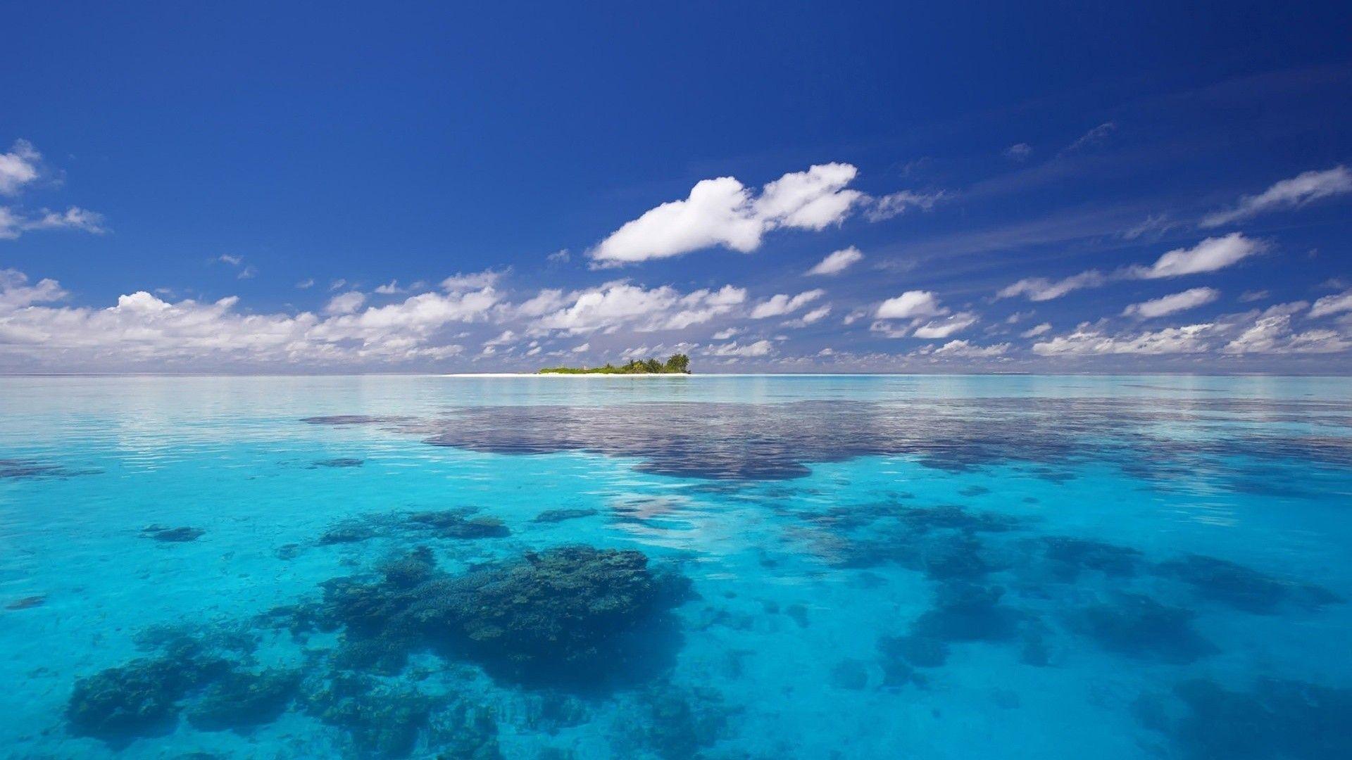 ocean reef HD wallpaper