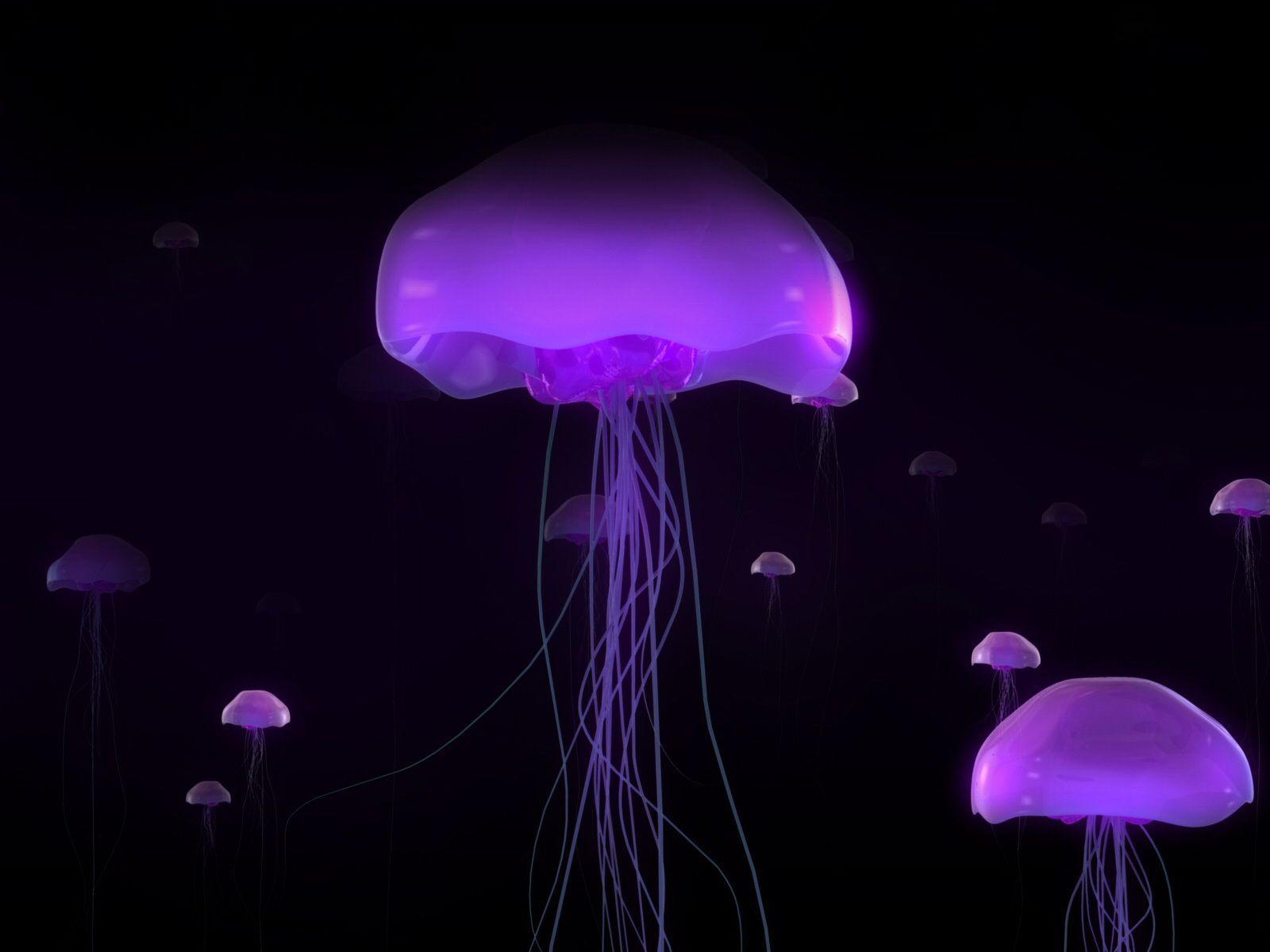 Abstract Jellyfish Wallpaper