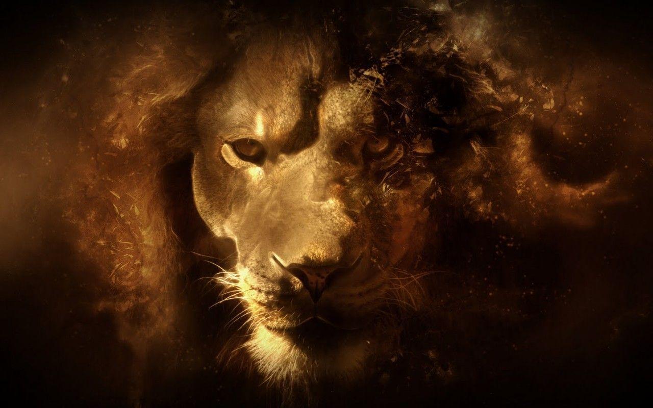 Lion Wallpapers - Wallpaper Cave