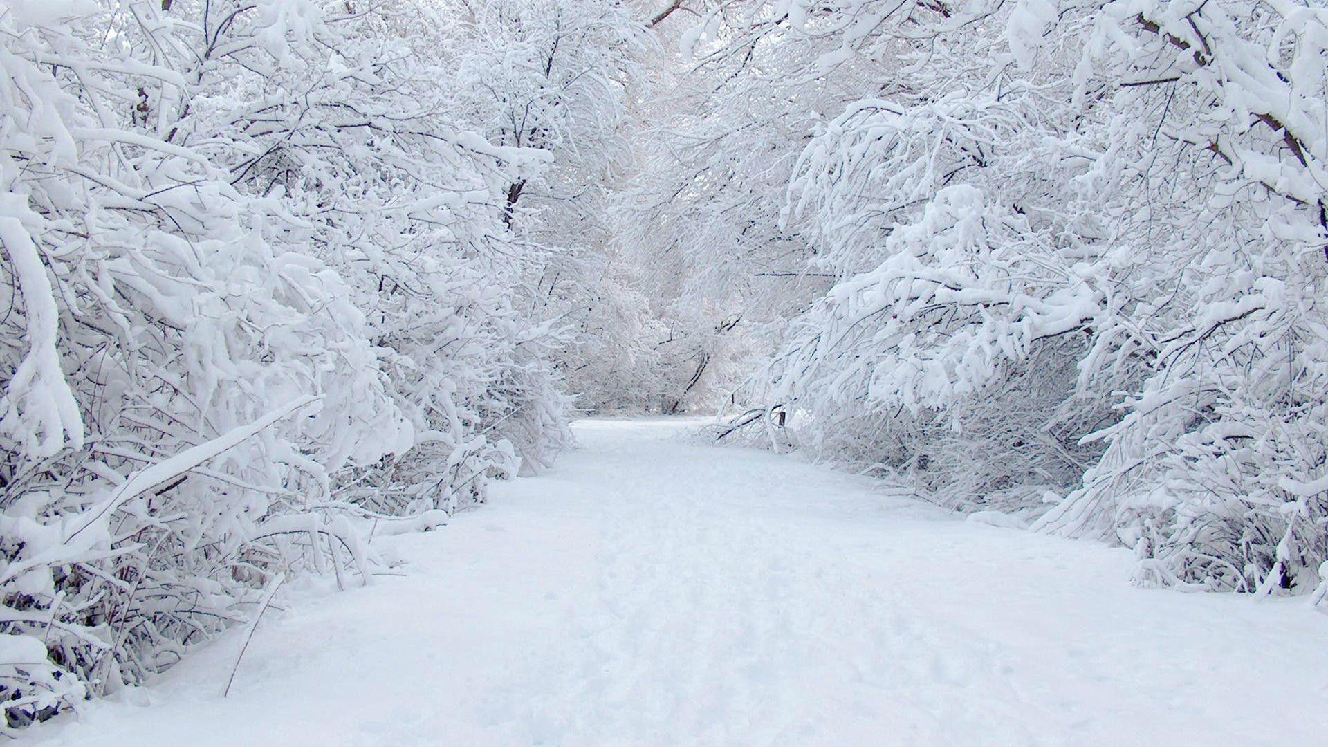 HD Snow Background. HD Background Point