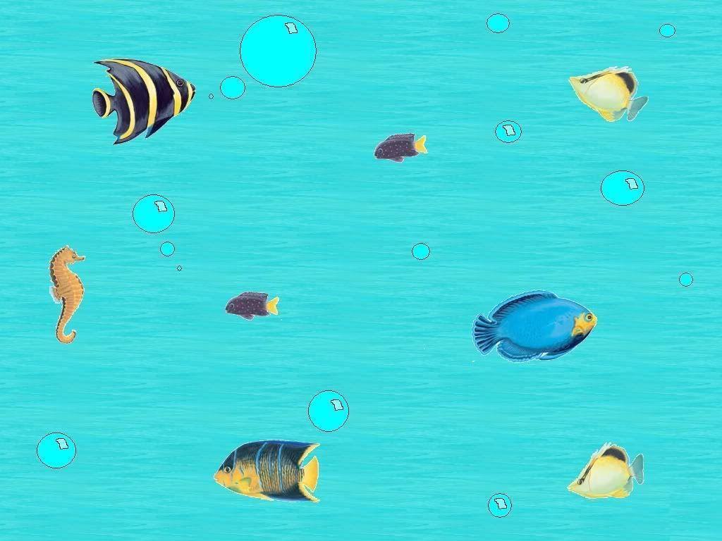 Animals For > Fish Background