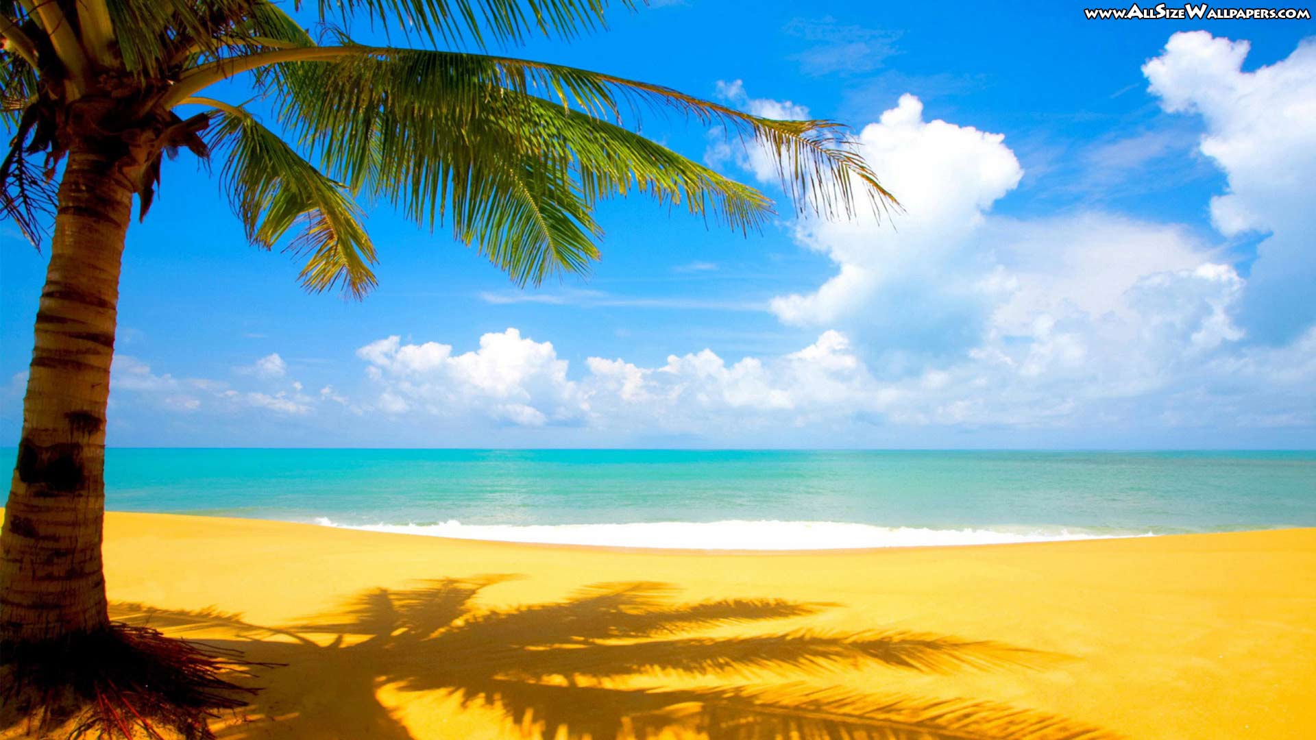 summer 1920x1080 wallpaper / 1920x1080 background