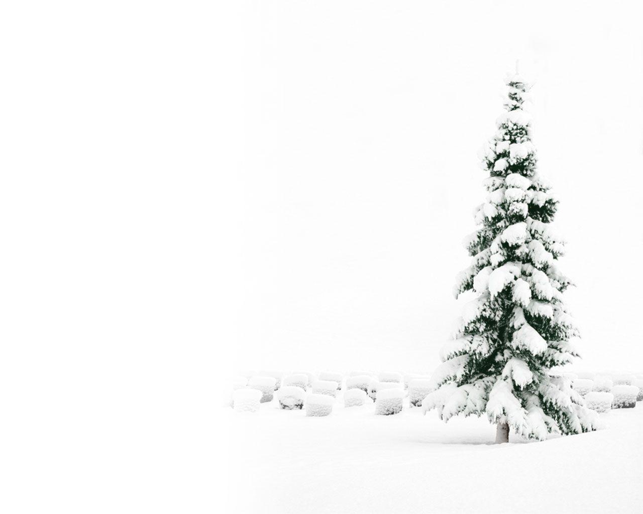 Wallpapers For > White Christmas Tree Wallpapers