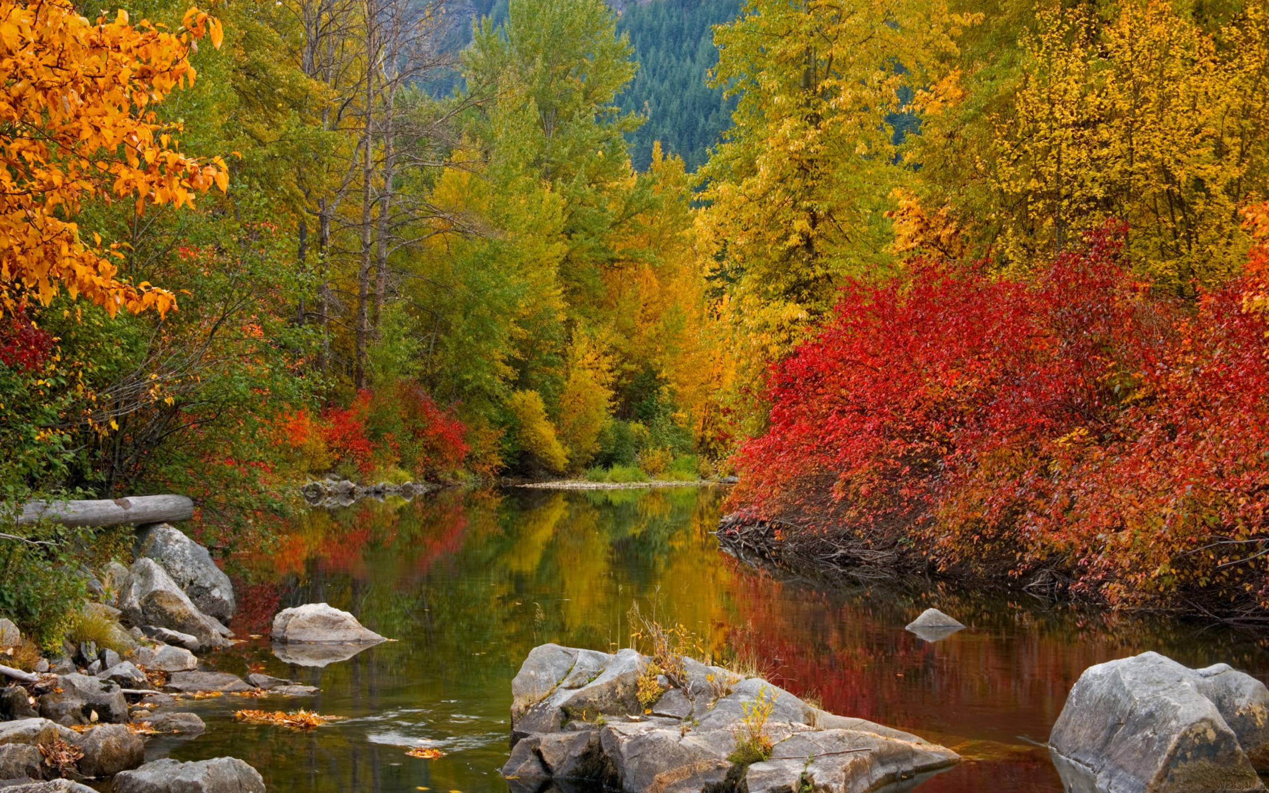 Desktop Backgrounds Fall Wallpaper Cave Desktop Backgrounds Fall Wallpaper Cave