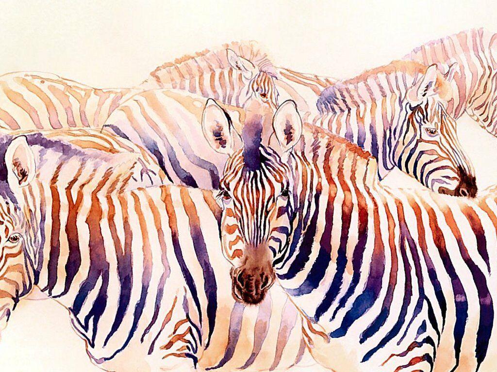 Zebra Desktop Wallpapers - Wallpaper Cave