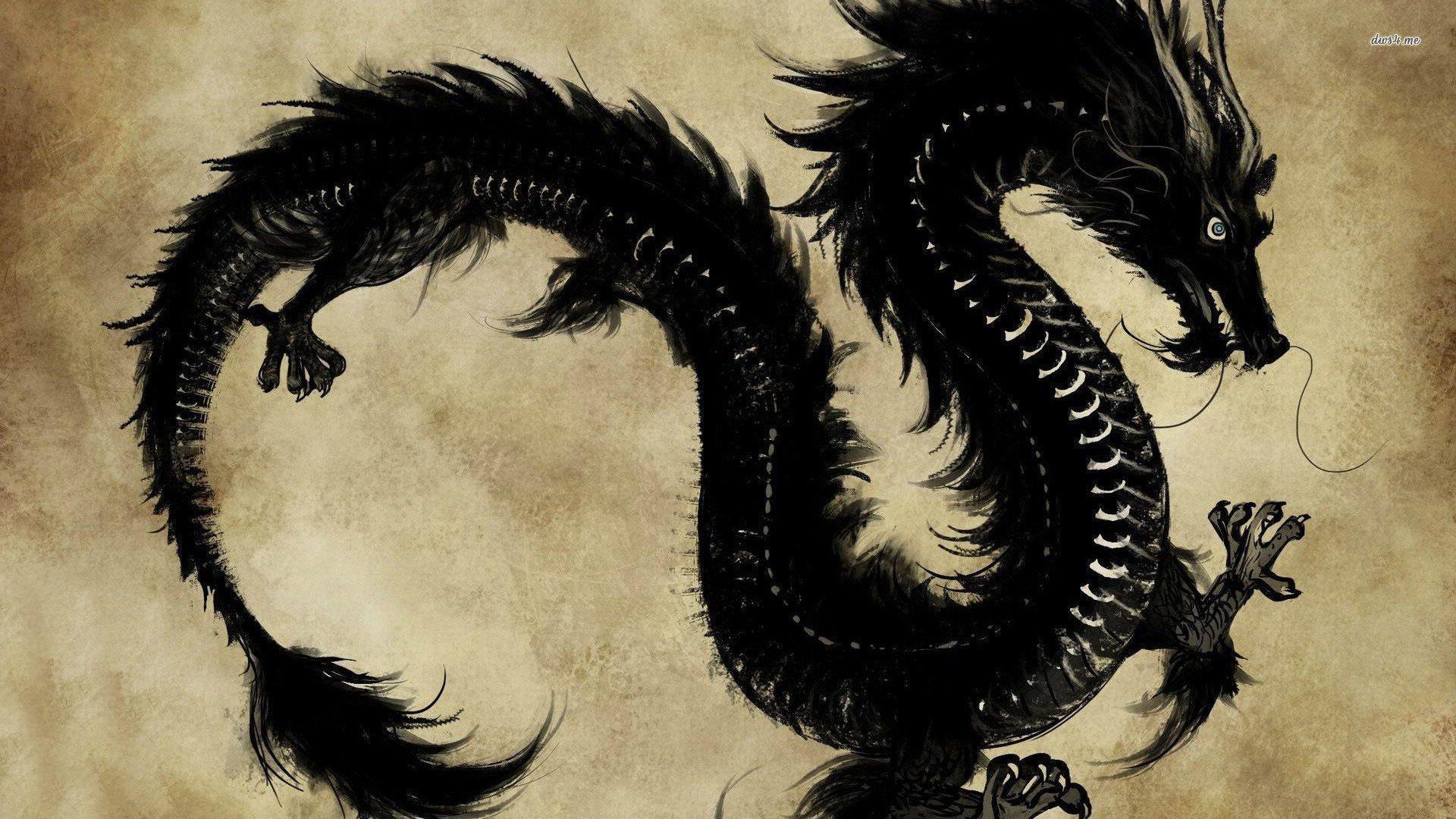Wallpaper For > Black Dragon Wallpaper