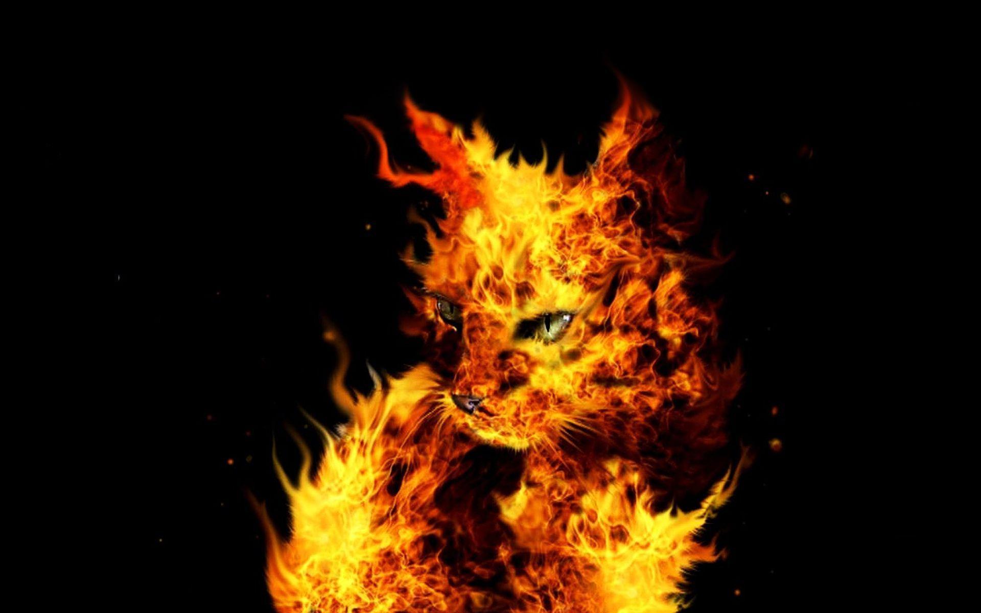 Artistic Flames Wallpaper 1920x1200 px Free Download