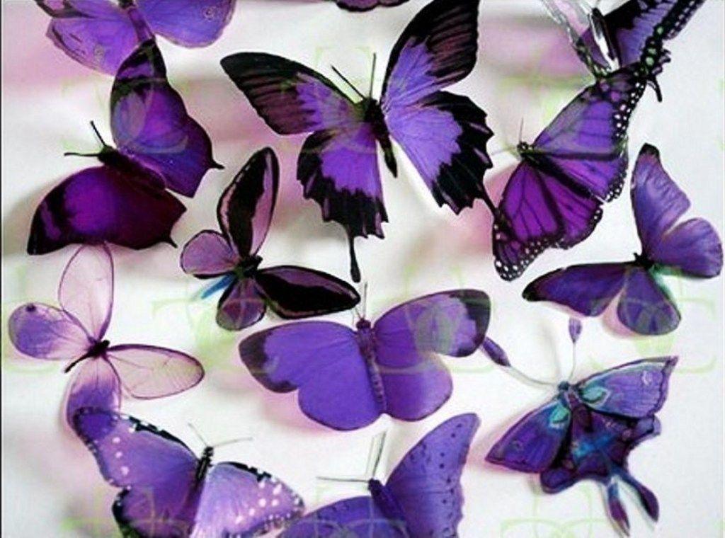 Butterfly Background HD. Download HD Wallpaper