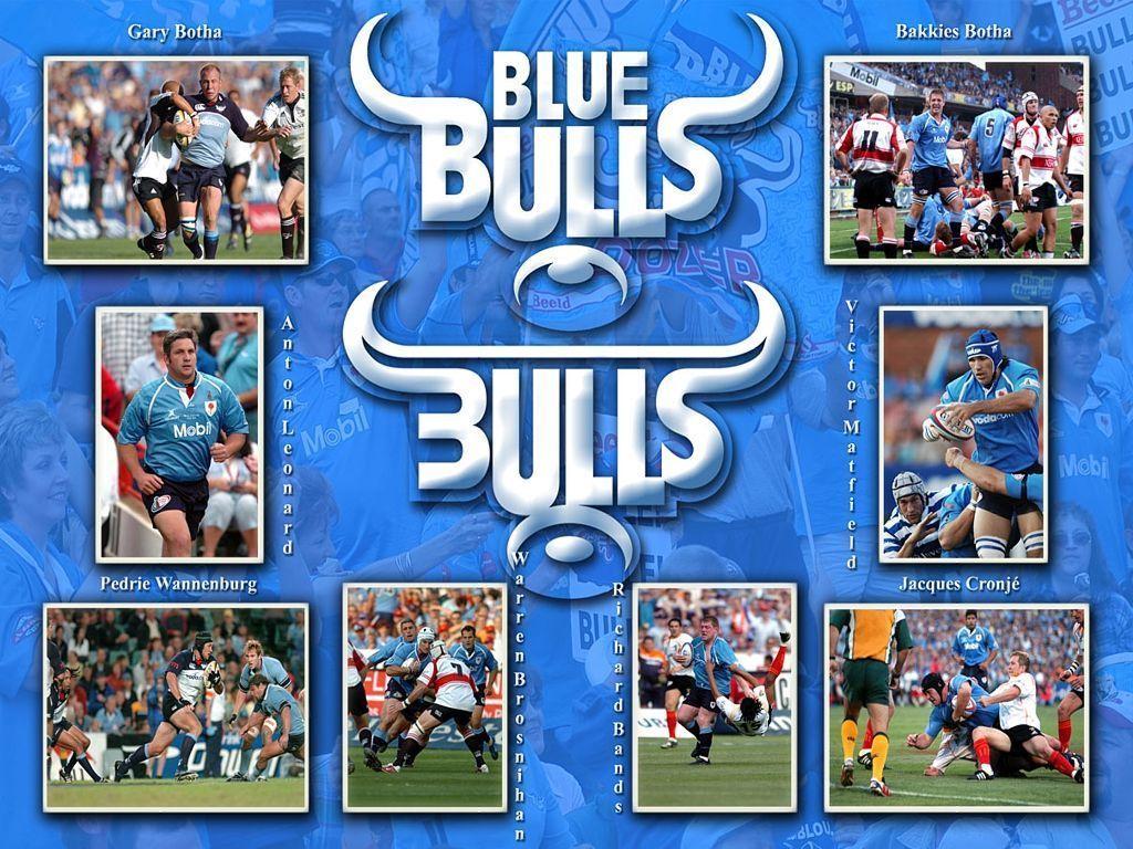 blue bulls rugby player Colouring Pages