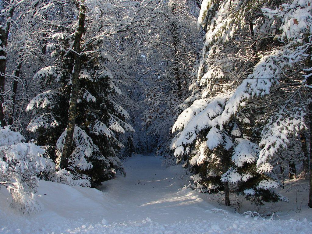 Snowy Landscape HD Background 8 HD Wallpaper. Hdimges