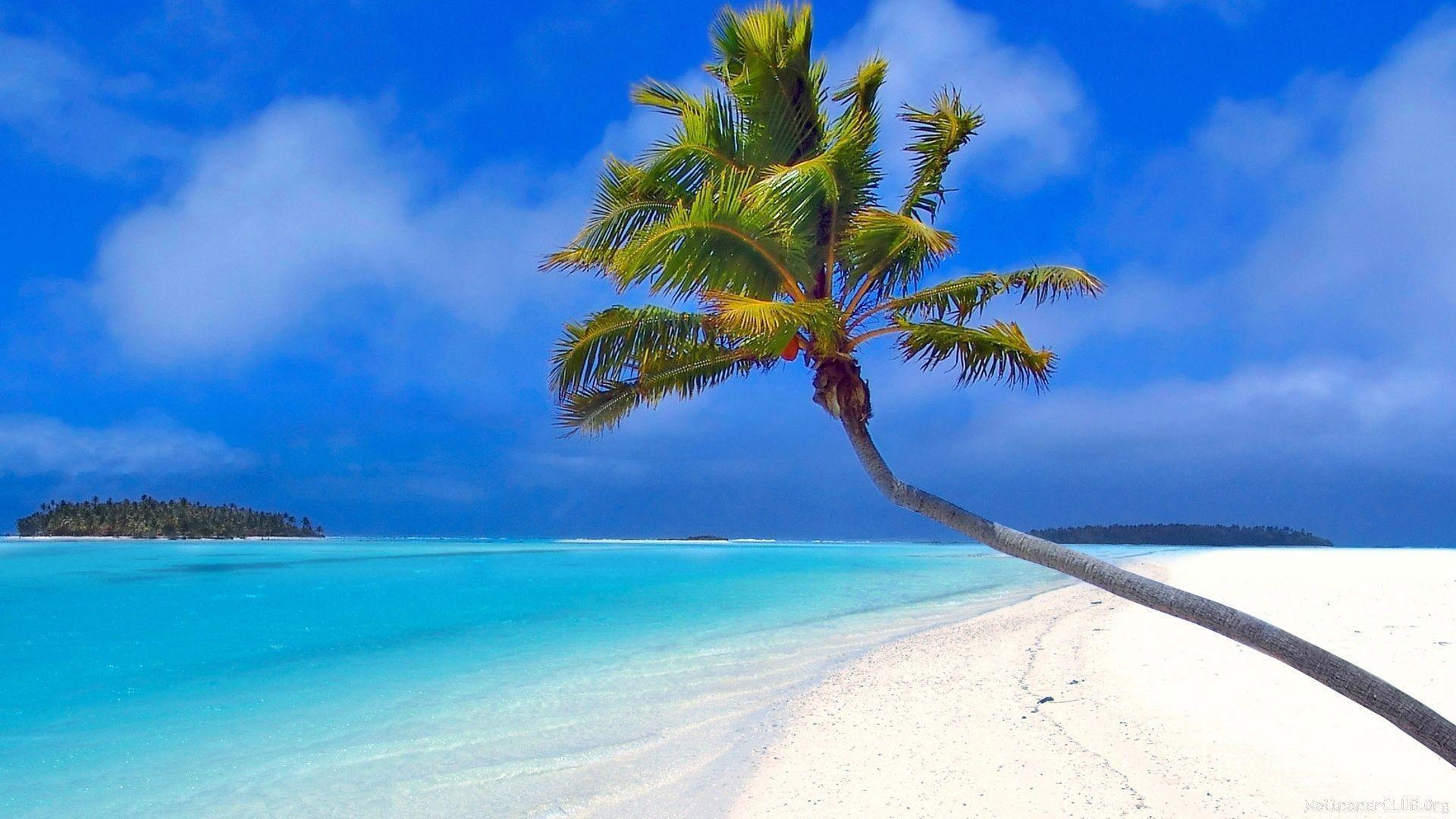 Maldives Island Beach Wallpaper Background Desktop Picture