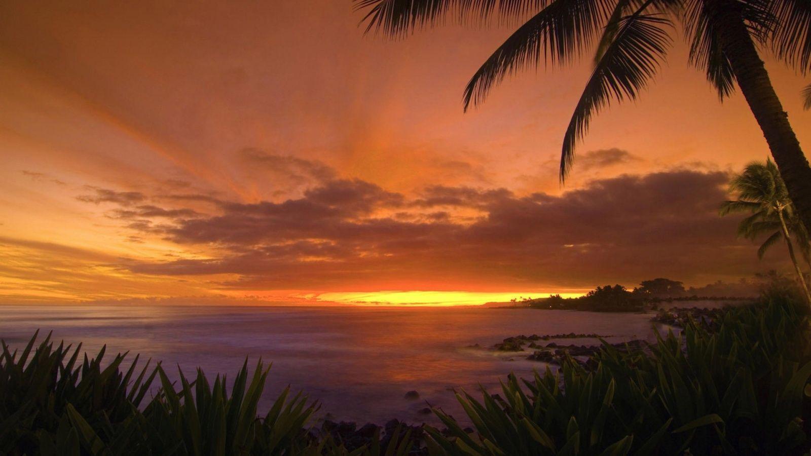 Beautiful Sunset Beach 1600x900 Desktop Background Free