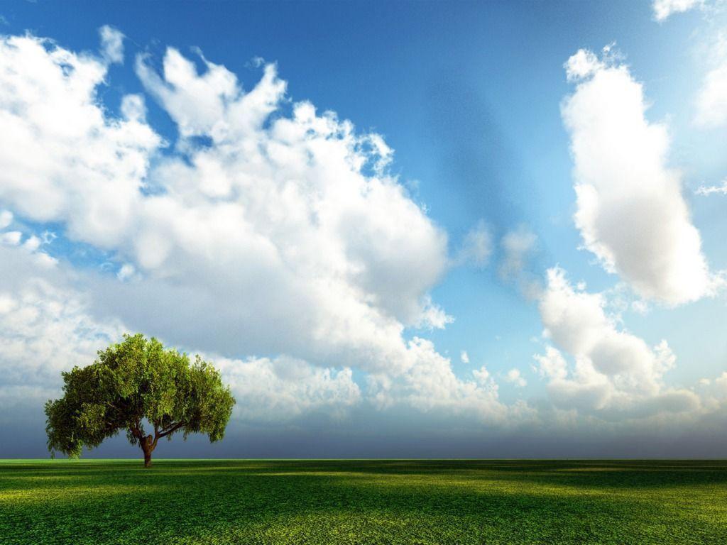 Springtime Wallpaper Landscape Nature