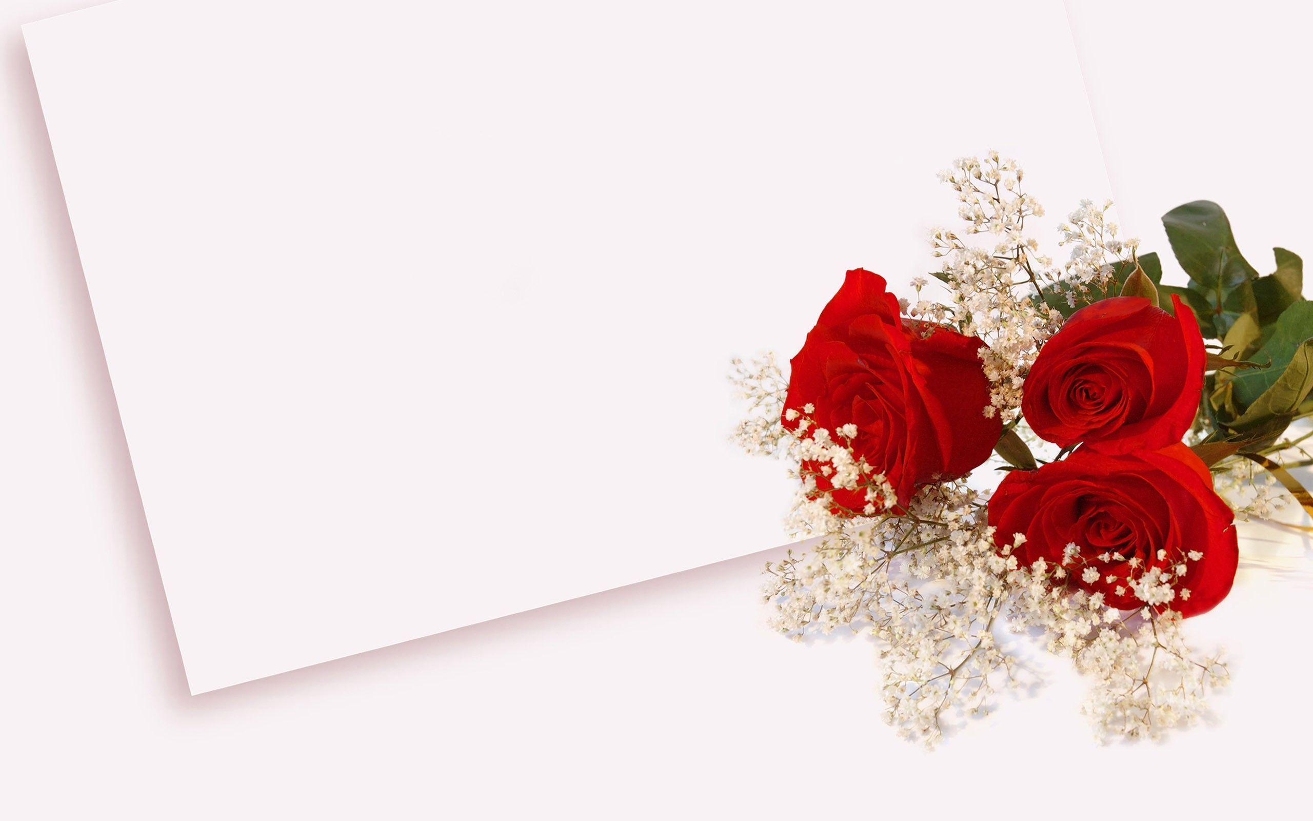Pix For > Wallpaper Flowers Roses