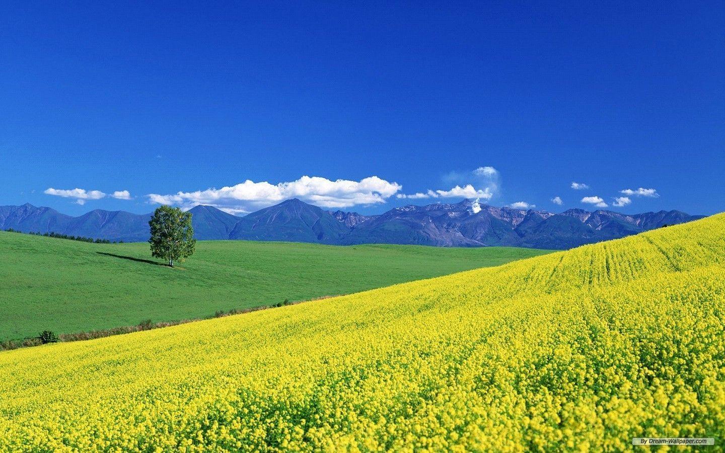 Free Wallpaper Travel wallpaper scenery