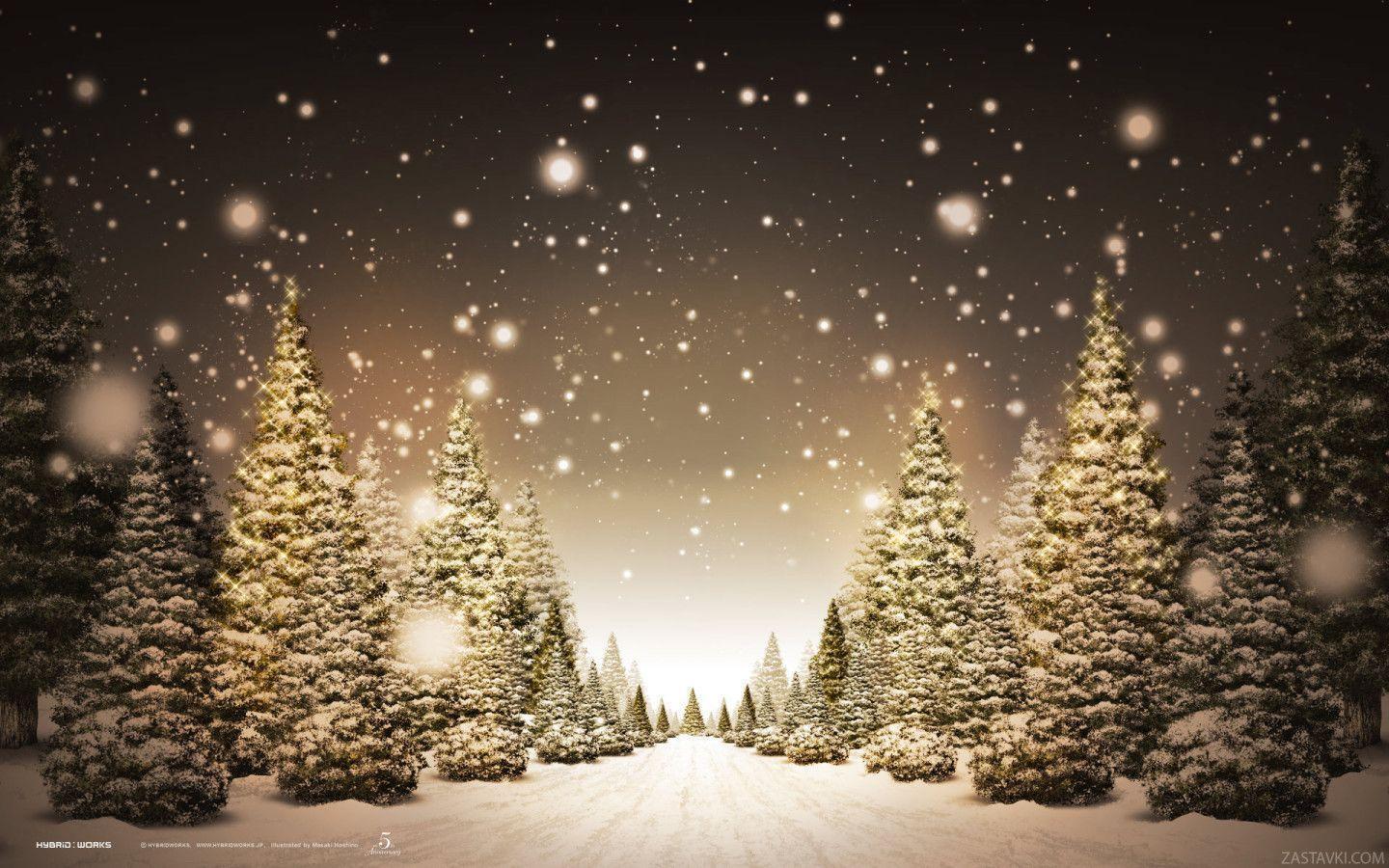 Free Winter Wallpaper Beautiful Forest 1440x900PX